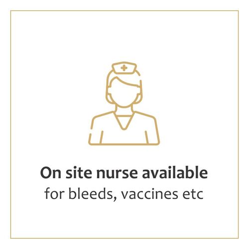 Onsite Nurse Available