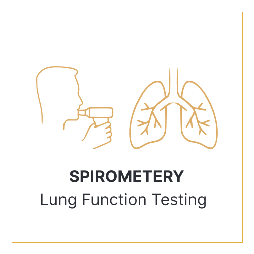 Spirometry- 1x1 copy-2Spirometry- Icon